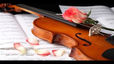 klassieke muziek om te studeren mozart beethoven piano viool deel youtube