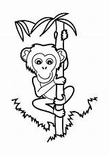 Mono Chimpanze Colorir Escalada Pintarcolorir Dibujosonline sketch template