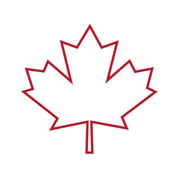 maple leaf outline images stock  vectors adobe stock