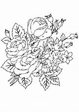 Coloring Rosas Pages Group Rose A4 Printable Parentune Worksheets sketch template