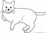 Cat Coloring Jumping Happy Coloringpages101 Pages Color sketch template