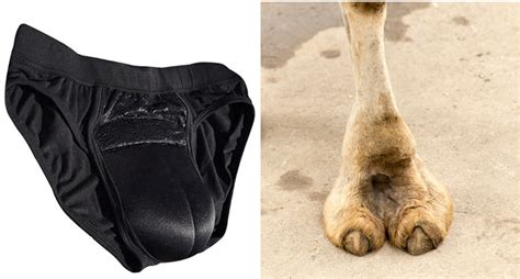 fake camel toe underwear is one of the weirdest fashion trends ever rare