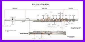 diagram flute part names flutecentric  flute players handbook