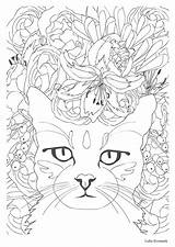 Coloriage Imprimer Destressant Colorier Coloriages Mandala Adults Fnac sketch template