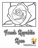 Coloring Czech Republic Pages Flower Printout 792px 78kb Flowers Library Clipart sketch template