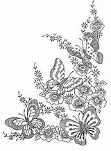 Butterflies Harmony Four Insects sketch template