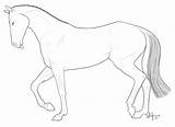 Horse Dressage Thoroughbred Coloring Pages Happy Little Template Comments sketch template