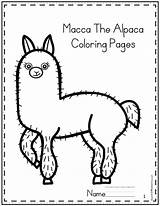 Macca Alpaca sketch template