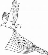 Flag American Eagle Coloring Pages Bald sketch template