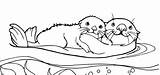 Otter Otters Mom Dory Animals Px sketch template