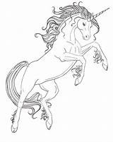 Coloring Unicorn Pages Horse Horses Color sketch template