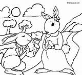 Rabbits Coloring Coloringcrew sketch template