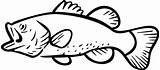 Bass Fish Clipart Largemouth Fishing Outline Clip Silhouette Coloring Patterns Drawing Border Background Jumping Pages Template Drawings Stencils Birthday Cliparts sketch template