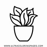 Vaso Plantar Ultracoloringpages sketch template