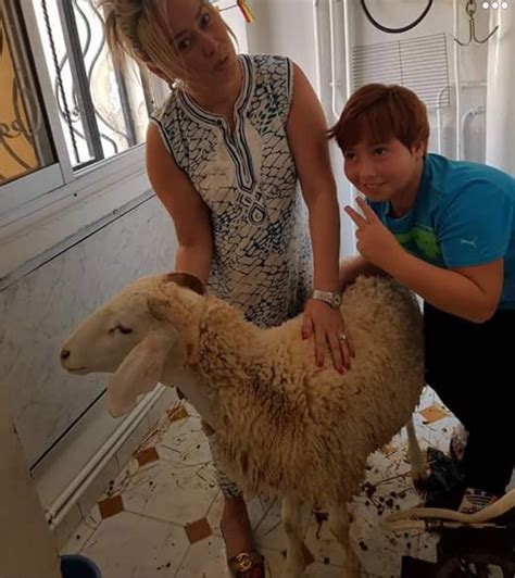 chinese woman killing  goat goat skinning  gatagani youtube qurbani beautifu girls