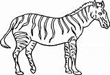 Zebra Coloring Educative sketch template