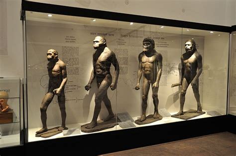 difference between neanderthals and humans compare the