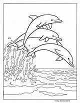 Springen Delphine Delfin Drei Zusammen Ausmalbild Genügt Benutzen Anderen Webbrowser Ordnung sketch template