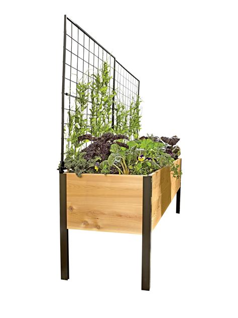 Elevated Cedar Planter Box Space Maker Pivoting Trellis 2x8 In 2022