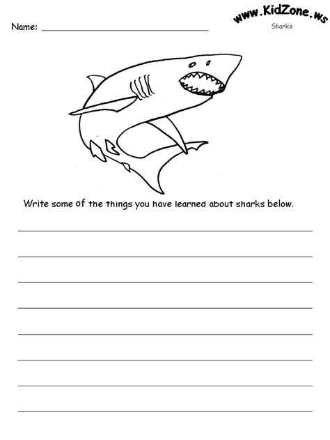 shark activity sheet   learned  sharks shark activities