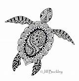 Zentangle Turtle Coloringpagesfortoddlers sketch template