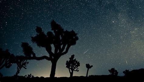 the best national parks for stargazing the discoverer