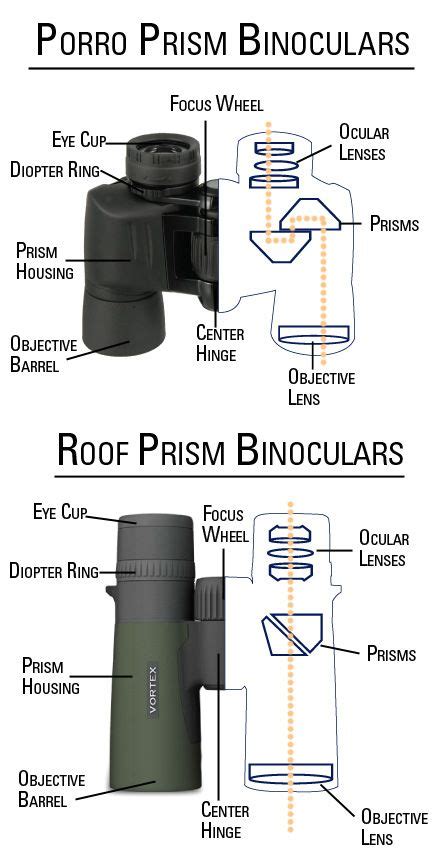 choose   binoculars introduction  buying binoculars