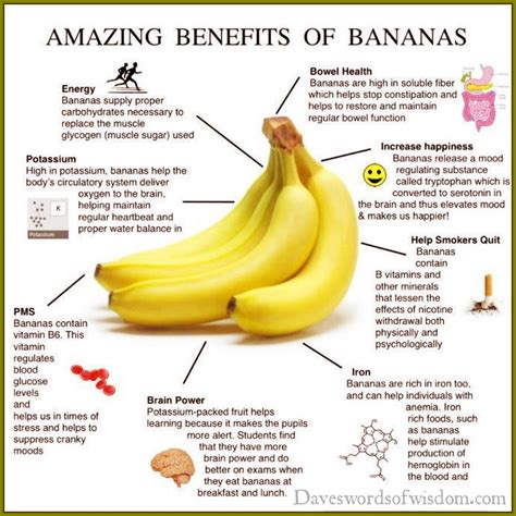 daveswordsofwisdomcom  amazing benefits  bananas