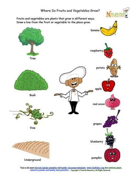 fruits  vegetables grow matching worksheet letter