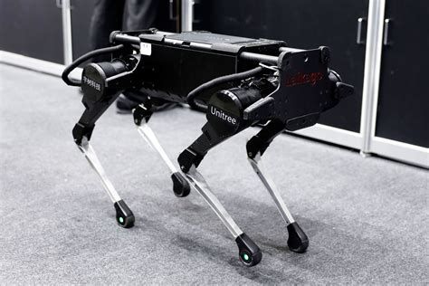 real dog taught  robot dog  walk wired