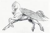 Hippogriff Buckbeak Beasts Hagrid Fc07 Magical Cleaned Feathers Pegasus Ravenscar45 sketch template