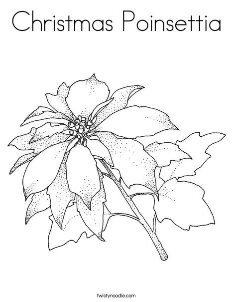 christmas poinsettia coloring page twisty noodle