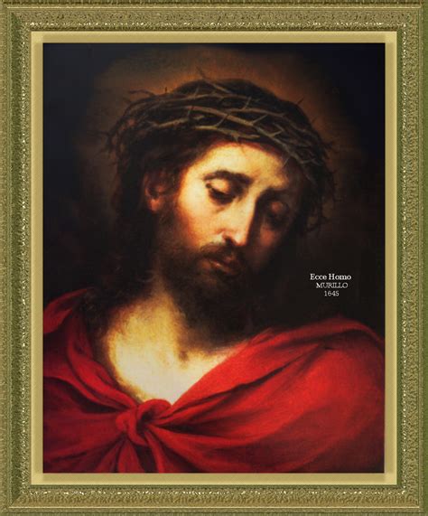 catholic life novena   holy face