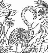 Flamingo Kolorowanka Kolorowanki Zentangle Okresie Letnim Ausmalbilder Wakacyjna Freepik Colorare Luau Legale Ora Nel Lato Wektorów Vettori Colori sketch template