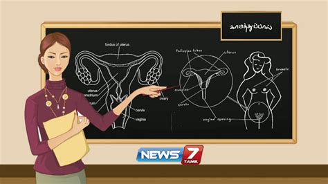 காமத்துப்பால் documentary about sex education news7 tamil youtube