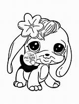 Coloring Pages Boo Beanie Animal Pet Shop Littlest Animals Cuties Dog Panda Zoo Color Printable Clipart Sheets Print Kids Only sketch template