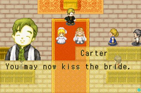 harvest moon same sex marriage video games amino