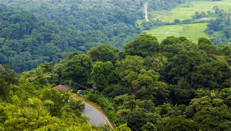 10 beautiful places to visit in coorg in july in 2021