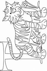 Coloring Pages Tiger Kids Library Clipart Line Choose Board sketch template