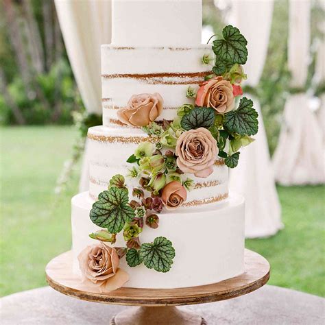 simple wedding cakes   style celebration