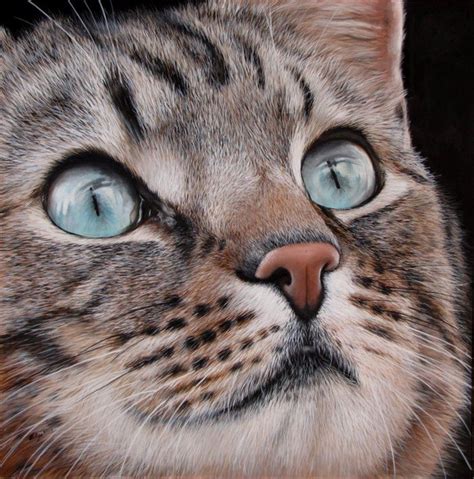 realistic cat painting  paintingvalleycom explore collection