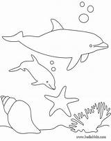 Traceable Dolphin sketch template