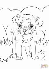 Coloring Pages Dog Chihuahua Puppy Colouring Printable Dogs Color Print Supercoloring Drawing sketch template
