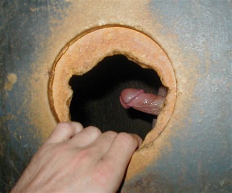 my cock at glory hole