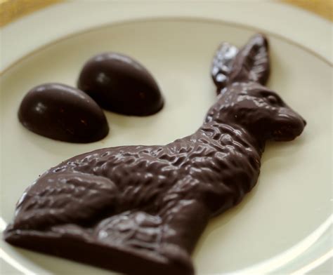 dairy  dark chocolate easter bunnies springhouse turtle