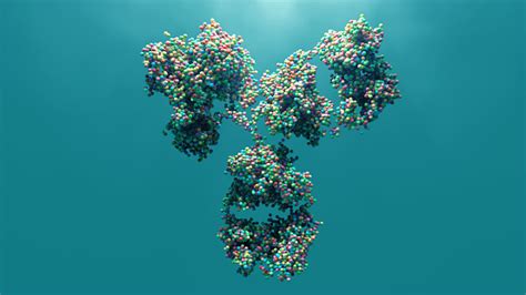 antibody stock photo  image  istock
