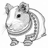 Coloring Pages Pig Guinea Morskie świnki Guniea Pigs Printable Illustration Cute Drawings Hamsters Adult Adults Funny sketch template