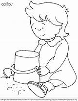 Coloring Sandbox Pages Caillou Rosie Girl Getdrawings Getcolorings Coloringlibrary sketch template