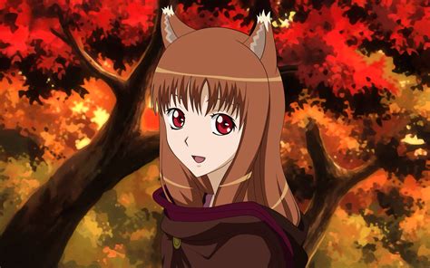 holo spice  wolf wallpapers hd desktop  mobile backgrounds