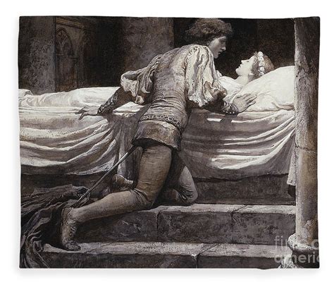 Scene From Romeo And Juliet The Tomb Fleece Blanket For Sale By Frank